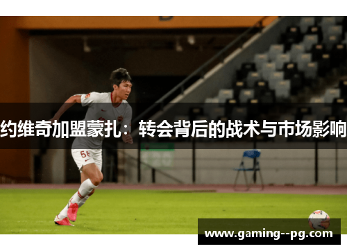 约维奇加盟蒙扎：转会背后的战术与市场影响