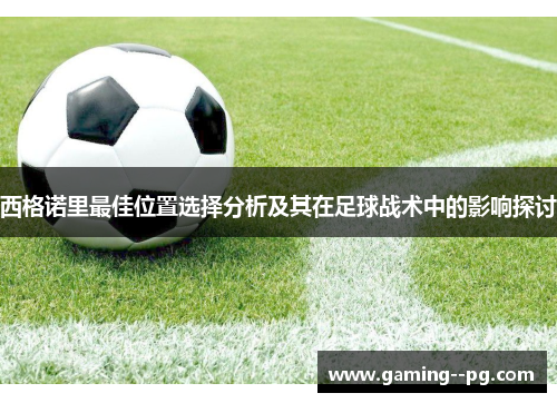 西格诺里最佳位置选择分析及其在足球战术中的影响探讨