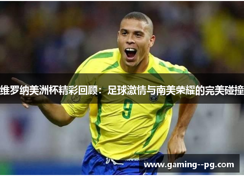 维罗纳美洲杯精彩回顾：足球激情与南美荣耀的完美碰撞
